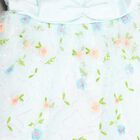 Girl's Frock, Light Green, small image number null