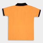 Boys' Cotton T-Shirt, Orange, small image number null