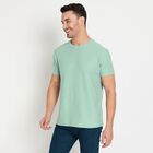 Men's Round Neck Half Sleeves T-Shirt, Light Green, small image number null