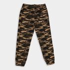 Boys' Cotton Trousers, Brown, small image number null