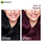 Burgundy Hair Colour Shade 3.16, , small image number null