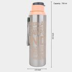 700 ml Steel Bottle, , small image number null