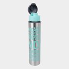 1 Pc. 500 ml Steel Bottle, , small image number null