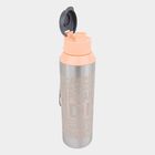 700 ml Steel Bottle, , small image number null