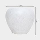 Plastic Planter, 20 X 17 cm, , small image number null