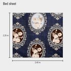 120 GSM Microfiber Double Bedsheet with 2 Pillow Covers, , small image number null
