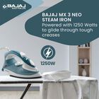 Steam Iron, , small image number null